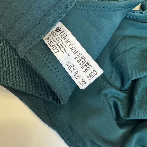 Wacoal Nordstrom Green Full Coverage Bra with Supportive Straps - Picture 5 of 5